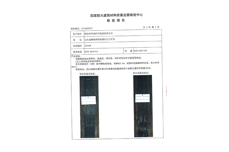 检验报告