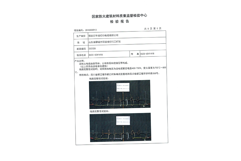 检验报告