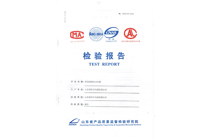 挤包绝缘电力电缆检验报告
